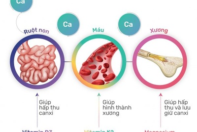 Hiểu đúng về canxi