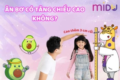 [MỚI NHẤT] Ăn bơ có tăng chiều cao không? Chuyên gia giải đáp