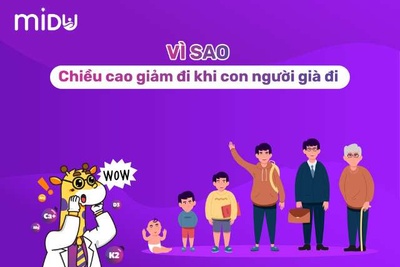 Vì sao chiều cao giảm khi con người già đi? [SỰ THẬT BẤT NGỜ]