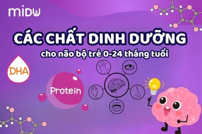 Các chất dinh dưỡng quan trọng cho não bộ của trẻ 0-24 tháng