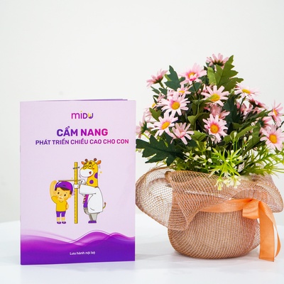 CẨM NANG PHÁT TRIỂN CHIỀU CAO CHO CON