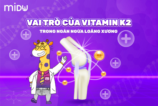 Vai trò của Vitamin K2 ngăn ngừa loãng xương