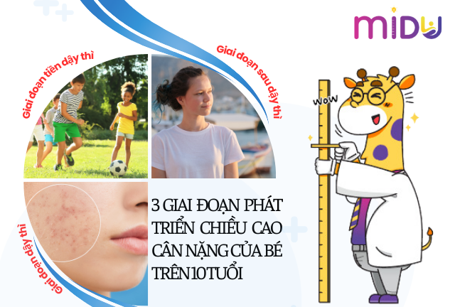 Quá trình phát triển chiều cao cân nặng của bé trên 10 tuổi