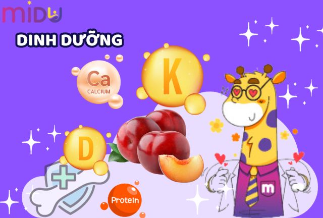 Căn cứ khoa học chứng tỏ ăn mận giúp cải thiện chiều cao ở trẻ