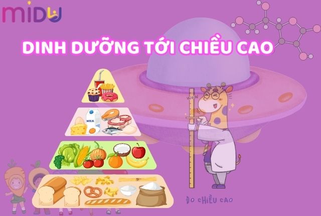 Dinh dưỡng ảnh hưởng đến chiều cao các nước như thế nào?