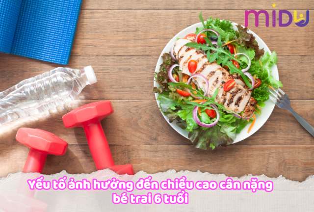 Các yếu tố ảnh hưởng đến chiều cao và cân nặng bé trai 6 tuổi