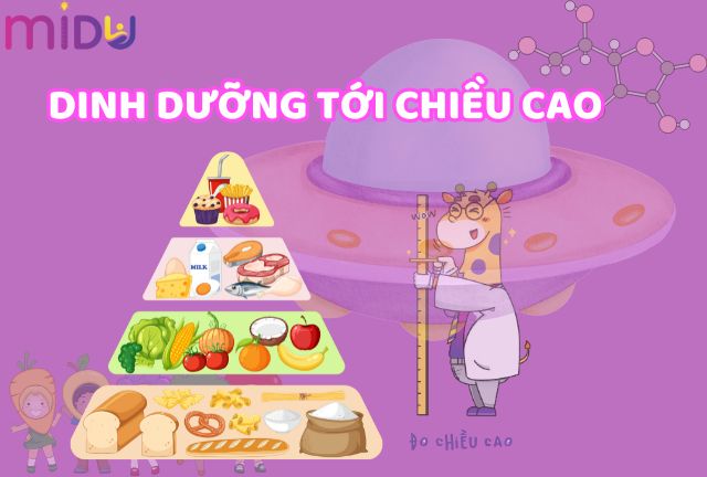 Dinh dưỡng có ảnh hưởng nhiều đến xương và chiều cao 
