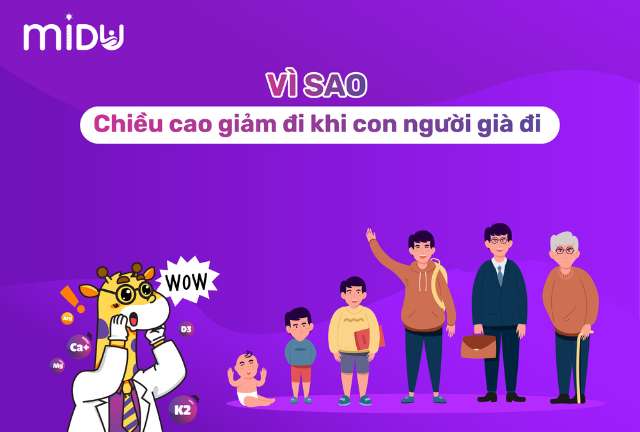 TẠI SAO chiều cao giảm khi con người già đi?