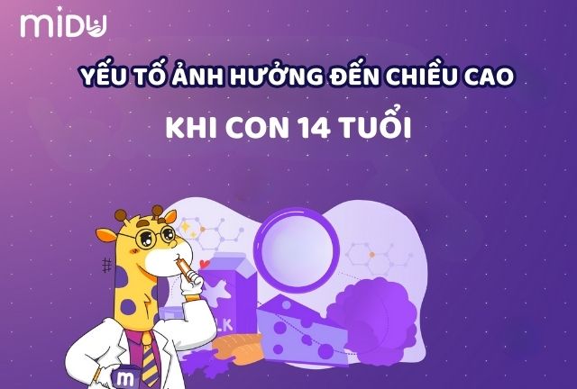 Những yếu tố nào ảnh hưởng đến chiều cao ở tuổi 14