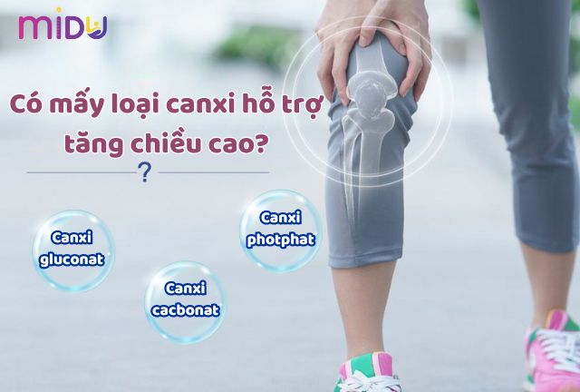 Có mấy loại canxi hỗ trợ tăng chiều cao?