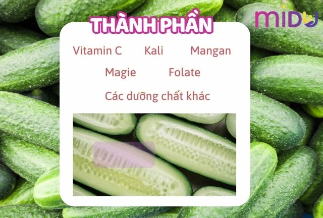 Thành phần dinh dưỡng có trong dưa leo có lợi ích gì cho cơ thể?