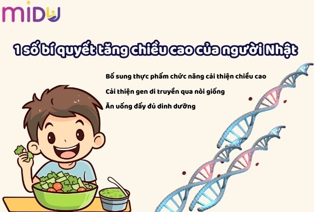11 số bí quyết tăng chiều cao của người Nhật 