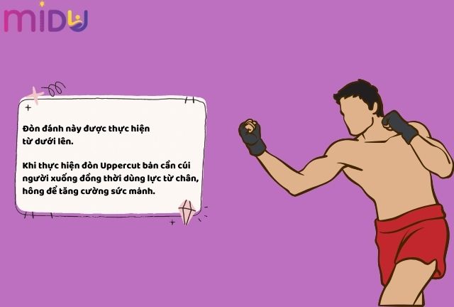 Tư thế tập boxing unpercut 