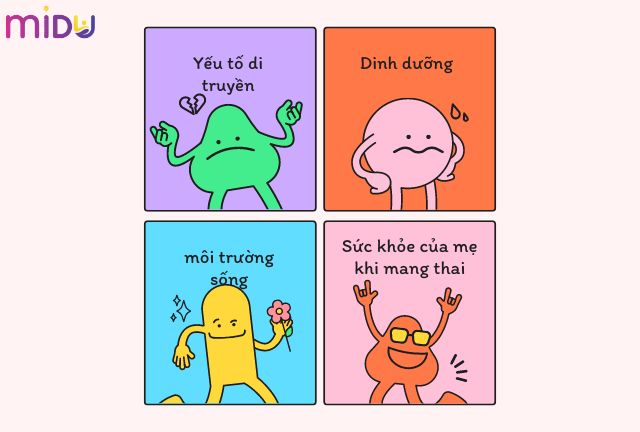 Yếu tố phát triển chiều cao